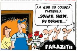 Părerea lui Terente