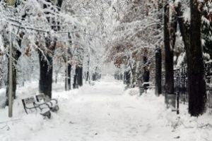 METEO Maramures: Vremea se mai incalzeste