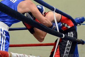 Pugiliştii de la Basti Box Salonta au început pregătirile pentru noul an competiţional