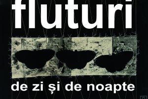 Expoziţia „Fluturi de zi şi de noapte”, vernisată la Târgu-Jiu