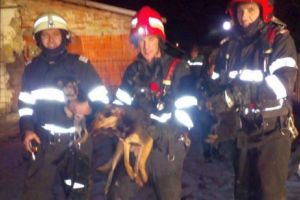 
Salvare emoţionantă. Pompierii au scos din flăcări cinci căţei