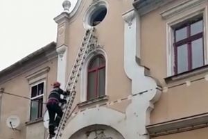 Eroi şi pentru necuvântătoare: Pompierii orădeni au salvat o pisică captivă în podul Teatrului Arcadia (VIDEO)