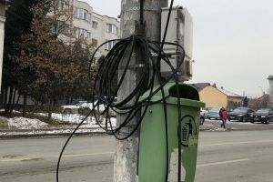 „Dorel” şi-a făcut datoria pe strada Doaga