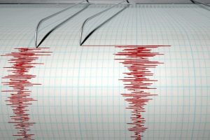 Cutremur de peste 4 grade în Vrancea