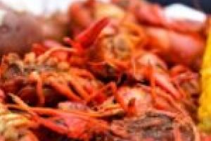 PREMIERĂ. Scoici, raci şi carne de rechin în centrul Reşiţei