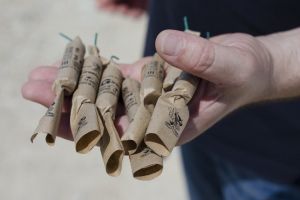 Publicul din Romania a invatat sa detoneze responsabil petarde si artificii de Revelion