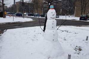 Meteorologii avertizează: vor fi ninsori, intensificări temporare ale vântului, precipitaţii mixte şi polei, inclusiv în Bihor