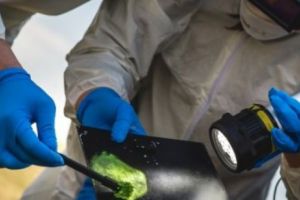 Descoperire MACABRĂ la Medgidia. Medicilor nu le-a venit să creadă ce au văzut