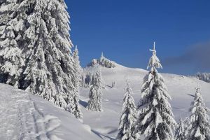 Informare meteorologică de ninsori şi viscol