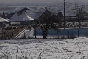 FOTO/ ȘTIREA TA: Fostul ştrand de la Schit, din Alba Iulia, transformat în zonă de agrement… pentru o turmă de oi