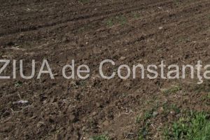 Tranzactie de patru milioane de lei! Cine a cumparat peste 130 de hectare de la Brisegroup (documente)