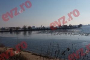 Ocolul Lacului Morii în trei ore