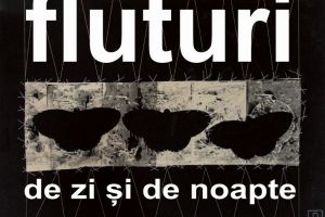 Expoziţia „Fluturi de zi şi de noapte”, vernisată la Târgu-Jiu