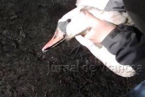 VIDEO: Primul pacient al ACDB din acest an a fost “externat”