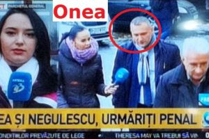 Lucicã, URMARIT PENAL/ Onea, audiat azi la Parchetul General