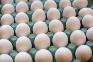 ALERTĂ – Mai mult de patru milioane de ouă contaminate cu o substanţă interzisă, găsite la o fermă din Teleorman