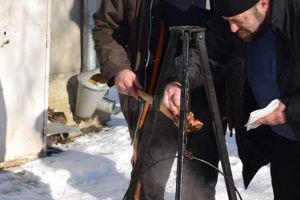 „Pomana porcului” pentru „bunicii” de la Căminul pentru Persoane Vârstnice Solca