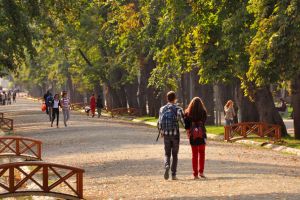 Persoane fără adăpost din Alba Iulia, găsite pe străzile municipiului Cluj-Napoca de către poliţiştii locali
