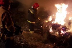 Descoperire MACABRĂ în Vrancea. Cum a fost GĂSITĂ o FEMEIE de ANCHETATORI