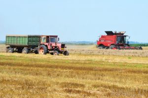 11,2 milioane euro! APIA Bihor a autorizat la plată subvenţii pentru aproape 5000 de fermieri