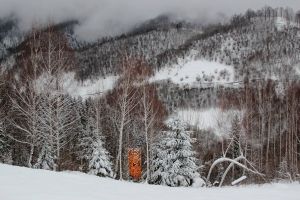 Incredibile tablouri de iarnă create de om şi natură în satul artistic din Dosul Gârciului (FOTO)