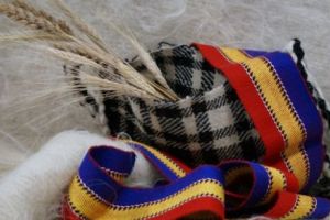 Iată ce memoriu a primit Guvernul de la Bucureşti, după a preluat preşedinţia Consiliului UE. Românii din Ucraina solicită recunoaşterea statutului de “popor autohton”, pentru a-şi proteja dreptul la propria identitate