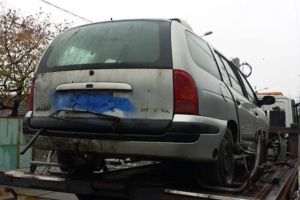 1.400 de rable pe străzile din Timişoara, numărate de poliţiştii locali în 2018
