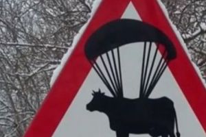 Șoferi, atenţie! Pe aici se dau vacile cu parapanta! Indicatorul rutier care a ajuns viral pe internet