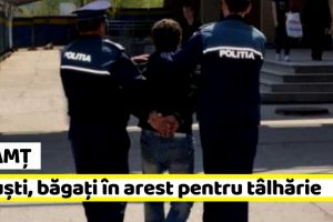 Neamţ: 3 puşti, băgaţi în arest pentru tâlhărie