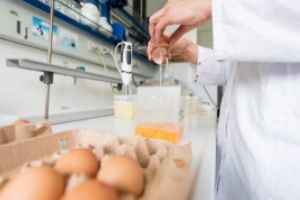 ALERTĂ ALIMENTARĂ în România - Peste 35.000 de ouă contaminate cu Fipronil au fost puse la vânzare/ DSVSA a intrat pe fir