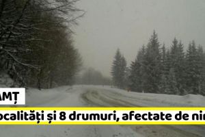 Neamţ: 12 localităţi şi 8 drumuri, afectate de ninsori (Raport)