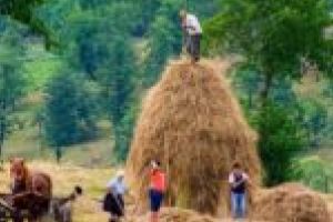 Frumuseţile României vor deveni ţinta fotografilor din întreaga lume în cadrul unui festival organizat în premieră