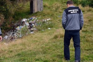 Bilanţul Gărzii de Mediu Bihor pentru 2018: Comisarii au dat 198 de amenzi, în valoare de peste două milioane de lei
