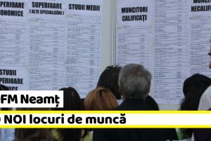 AJOFM Neamţ: 200 NOI locuri de muncă, comunicate în săptămâna 7-11 ianuarie