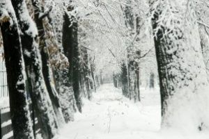 Meteo: Temperaturile maxime vor fi, astazi, cuprinse intre -6 si -3 grade C. La Targu Lapus, Cavnic, Borsa, Viseu de Sus, Petrova si Ocna Sugatag -7 grade C