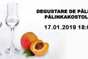 Degustare de pălincă