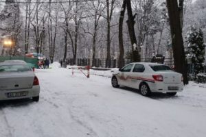 Comoditate, nesimţire sau ambele variante?
