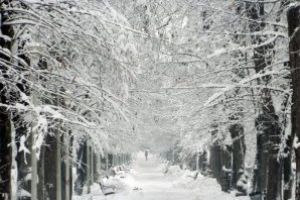 Meteo: Astazi va ninge pe arii extinse. Temperaturi: -7 grade C in Pasul Gutai, -6 grade C la Borsa, Cavnic, Ocna Sugatag, Petrova, Viseu de Sus, -5 grade C la Targu Lapus
