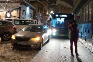 Un „bizon” a blocat un autobuz în trafic