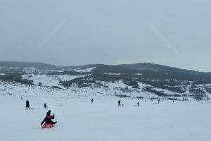 Pe Dealul Budacului, săniuţa fuge, nimeni nu o ajunge (FOTO)