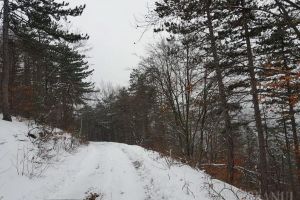 COD GALBEN de zăpadă şi viscol în Bihor. Vezi zonele afectate!