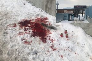 VIDEO FOTO Tânăr omorât cu cuţitul în faţa unui club din Mediaş – Criminalul recidivist a fugit