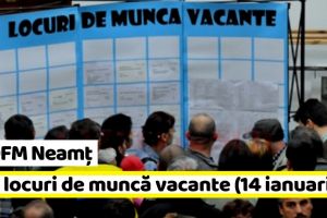 AJOFM Neamţ: 493 locuri de muncă vacante la data de 14 ianuarie