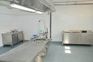 Raport IML –  Copilul operat la Sanador a decedat în urma unei hemoragii nedepistate