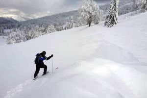 Peste 2.100 de bihoreni au rămas fără curent, din cauza unor avarii la reţelele electrice
