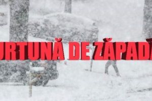 O FURTUNĂ masivă de ZĂPADĂ a paralizat SUA. Cel puţin 7 MORŢI şi peste 1500 de zboruri ANULATE 
