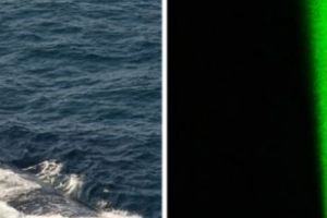 Europa se cutremură! Anunţul războinic făcut de Rusia