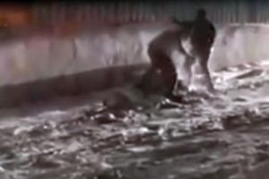 Tanarul din Ploiesti omorat la Medias a fost ucis cu 11 lovituri de cutit/ video cu impact emotional