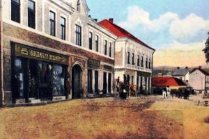 Comoara din imagini: Topliţa… demult