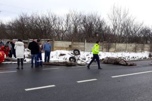 UPDATE FOTO Cal ucis într-un accident pe DN14 la Viile Sibiului
